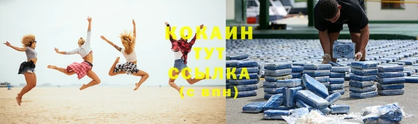 бошки Горняк