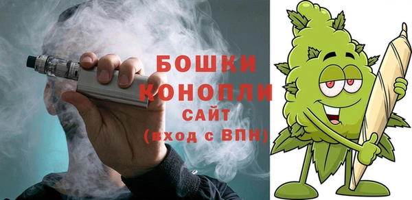бошки Горняк