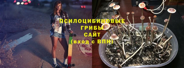 бошки Горняк