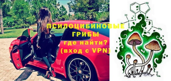 бошки Горняк