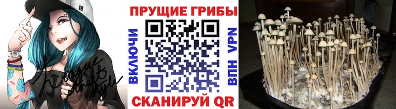 Галлюциногенные грибы мицелий  Купить  Маркс 